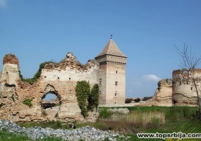 Tvrđava u Baču najznačajniji spomenik srednjovekovne istorije u južnom delu Panonske nizije
