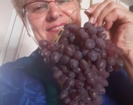 Predstavljamo besemenu vinsku sortu NADA