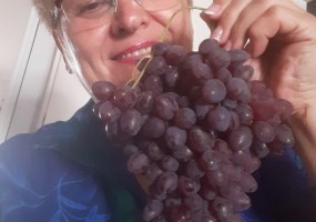 Prof. dr Nada Korać sa istoimenim grožđem