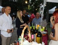 Novi sjaj XX VinoFesta u Gradskom parku 