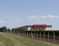 Vinarija velikih brojeva - Vinarija Drašković