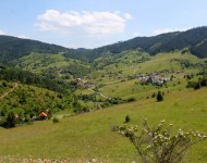 Besplatne animacije na Zlatiboru i ovog leta - upoznajte planinu kroz priču, šetnju i prirodu