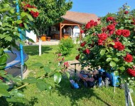 Taraški raj: Tragači za izvrsnim doživljajem  
