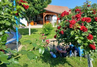 Taraški raj: Tragači za izvrsnim doživljajem  