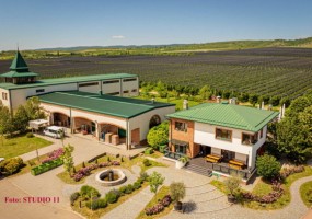 Vinarija Deurić:  Mala Remeta - Velika Vina