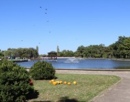 Staro jezero u znaku Zlatnog kotlića Vojvodine i Zlatne jeseni Kikinde 2025